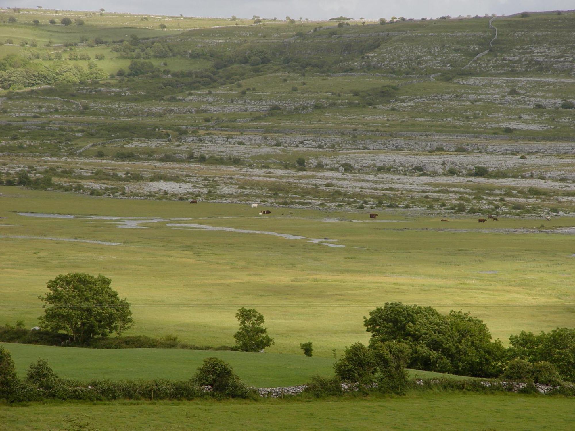 Clare'S Rock Self-Catering Accommodation Carron Exteriér fotografie