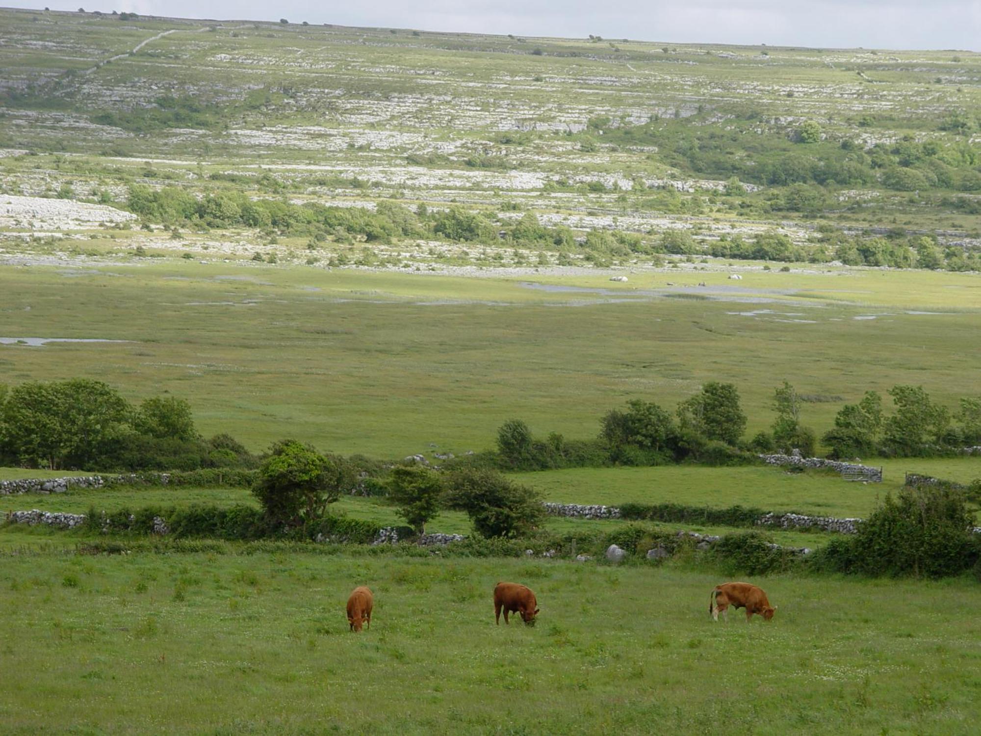 Clare'S Rock Self-Catering Accommodation Carron Exteriér fotografie